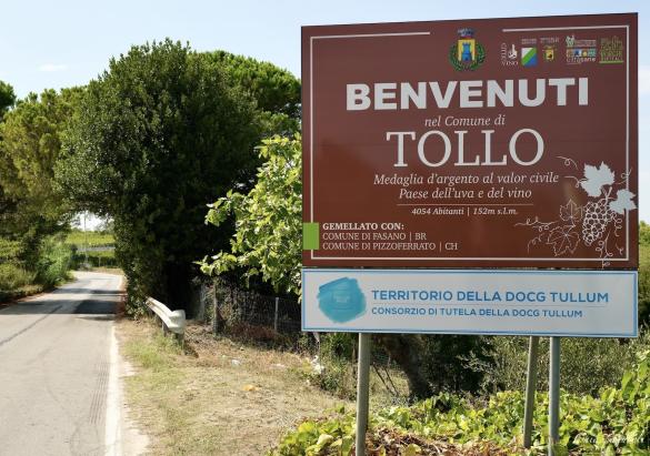 260902-Tollo 260902-Tollo