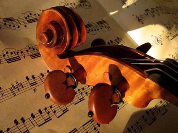 260917-violino 260917-violino